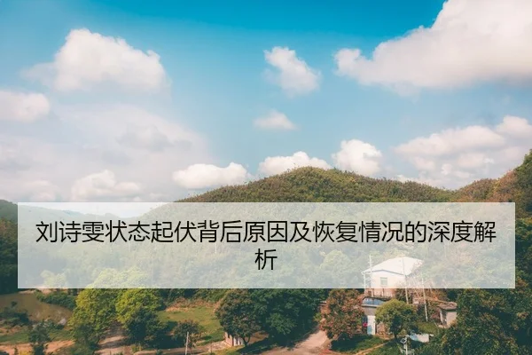 刘诗雯状态起伏背后原因及恢复情况的深度解析